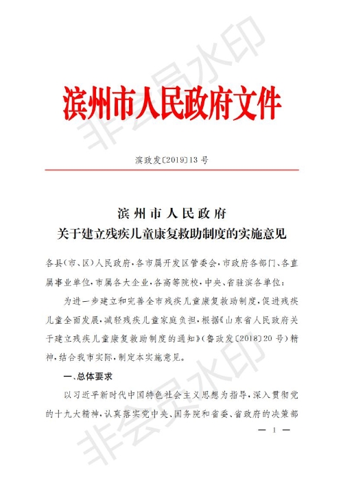 滨州市关于建立残疾儿童康复救助制度的实施意见